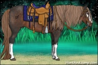 Horse Color:White Spotted Liver Chestnut 