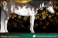 Horse Color:White Spotted Bay Sabino