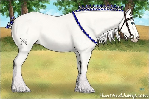 Horse Color:Silver Perlino Dun 