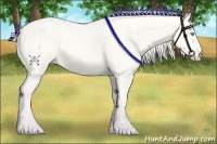Horse Color:Silver Perlino Dun 