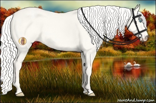 Horse Color:Cremello Dun 