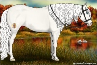 Horse Color:Cremello Dun 