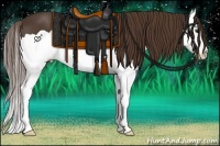 Horse Color:Liver Chestnut Splash 