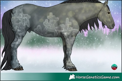 Horse Color:Black Ice 