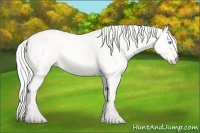 Horse Color:Silver Perlino Dun 