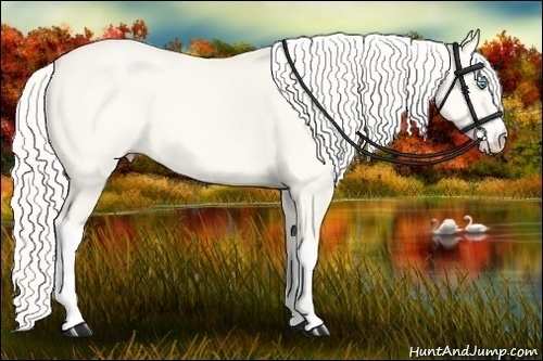 Horse Color:Cremello Dun 