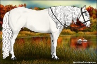 Horse Color:Cremello Dun