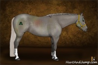 Horse Color:Silver Black 