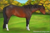 Horse Color:Brown 