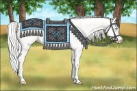 Horse Color:Cremello Dun 