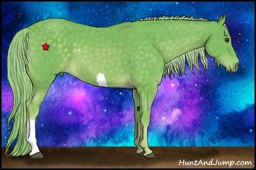 Horse Color:Watercolor Chocolate Palomino 