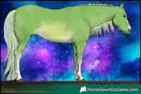 Horse Color:Watercolor Chocolate Palomino 