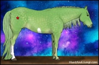 Horse Color:Watercolor Chocolate Palomino 