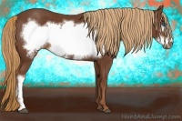 Horse Color:Chestnut Frame 