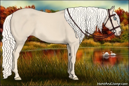 Horse Color:Cremello 