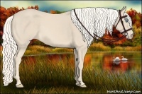 Horse Color:Cremello 
