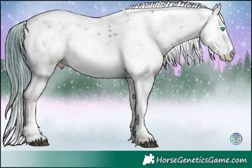 Horse Color:Watercolor Brown Sabino Splash