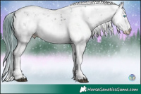 Horse Color:Watercolor Brown Sabino Splash