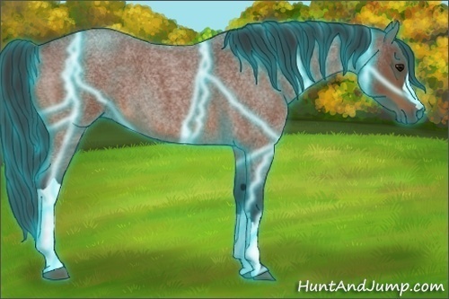 Horse Color:Thunderstruck Bay Roan 