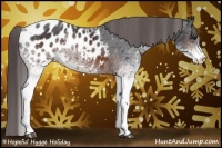 Horse Color:White Spotted Brown Blanket 