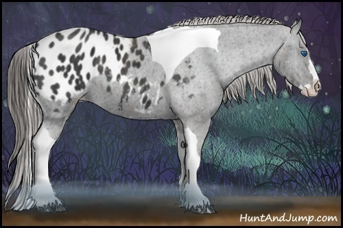 Horse Color:Black Splash Tobiano Blanket Brindle