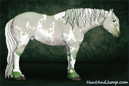 Horse Color:Watercolor White Spotted Silver Bay Dun 