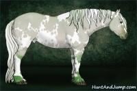 Horse Color:Watercolor White Spotted Silver Bay Dun