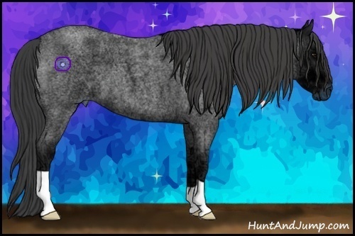Horse Color:Smoky Blue Ice Roan