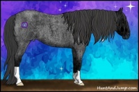 Horse Color:Smoky Blue Ice Roan 