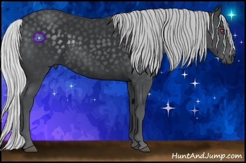 Horse Color:Silver Black Chinchilla 