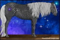 Horse Color:Silver Black Chinchilla 