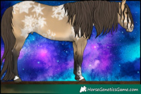 Horse Color:Buckskin Ice Dun