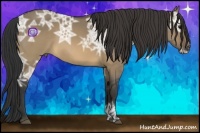 Horse Color:Buckskin Ice Dun 