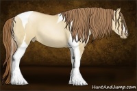 Horse Color:Red Dun Pearl Tobiano