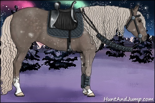 Horse Color:Silver Black Sabino