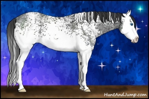 Horse Color:White Spotted Black Ice Splash 