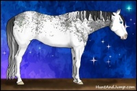 Horse Color:White Spotted Black Ice Splash
