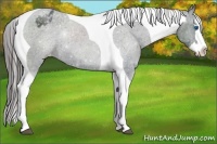 Horse Color:Black Sabino Splash Tobiano Varnish