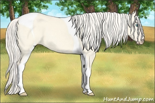Horse Color:Cremello Dun Tobiano 
