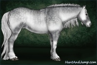 Horse Color:Silver Blue Onyx Chinchilla Roan Brindle