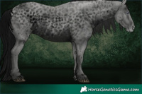 Horse Color:ERROR: UNKNOWN ANOMALY Brindle