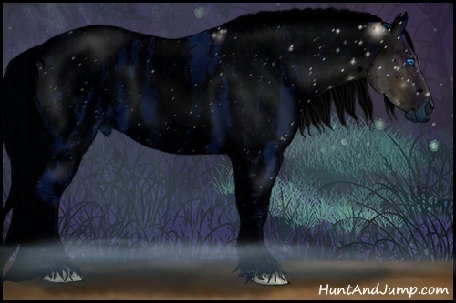 Horse Color:ERROR: UNKNOWN ANOMALY Brindle