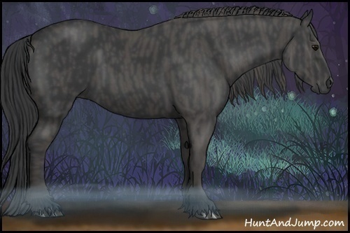 Horse Color:Black  Brindle