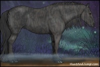 Horse Color:Black  Brindle