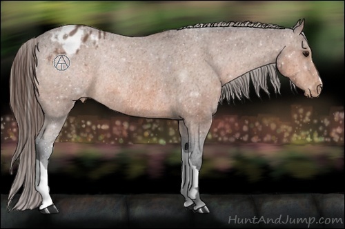 Horse Color:Bay Varnish Rabicano