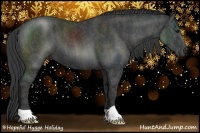 Horse Color:Black  Brindle