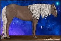 Horse Color:Silver Black 