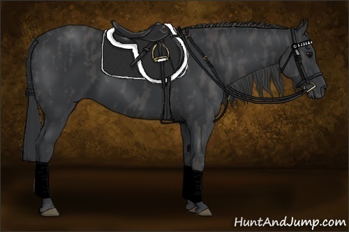 Horse Color:Black Brindle