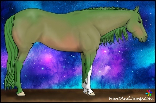 Horse Color:Watercolor Bay 
