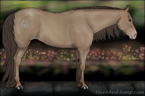 Horse Color:Classic Champagne Roan